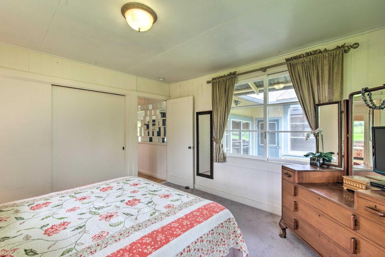 Hilo Home Base - 3 Miles To State Park And Beach! Luaran gambar